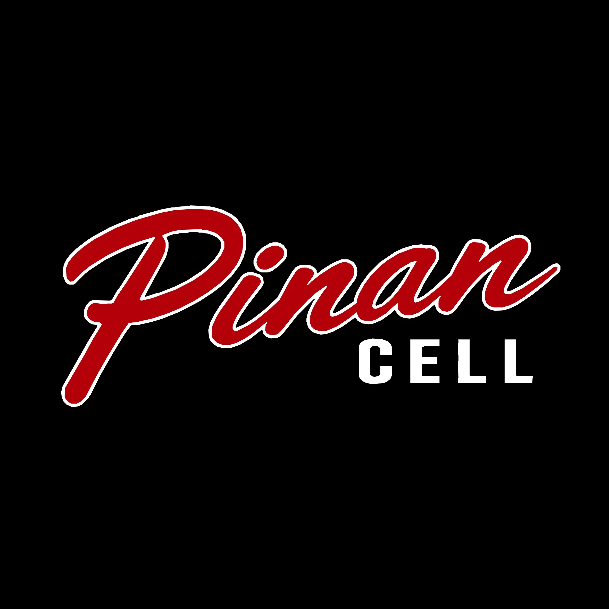 Karya logo & branding untuk Pinan Cell